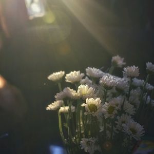 Meet your Posher, Sumaiyya